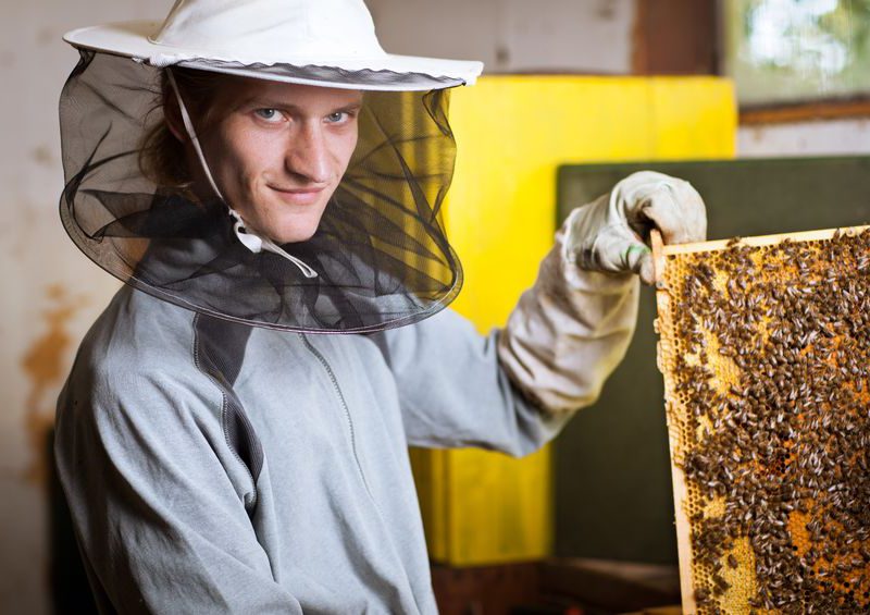 A méhész tanfolyam során elsajátíthatod a méhek helyes tartásának módját.
